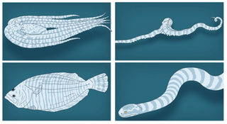 Illustration for article titled The Talented Mimic Octopus